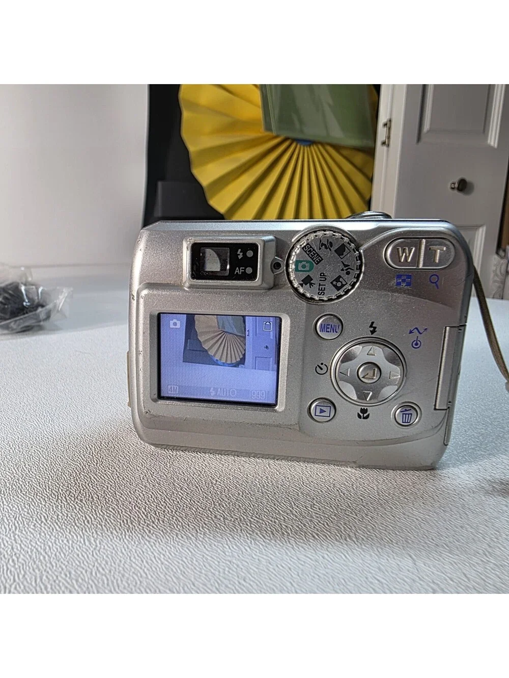 Nikon camera working